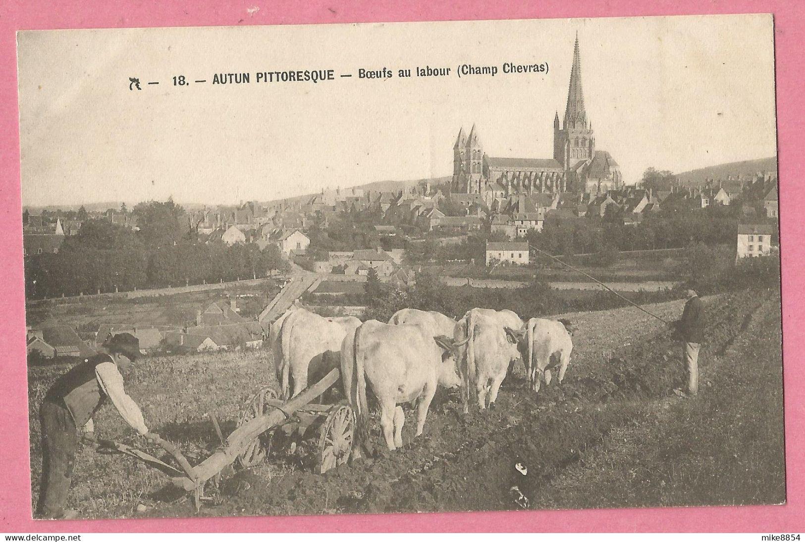 SAS0485  CPA  AUTUN (Saône-et-Loire)  Boeufs Au Labour (Champ Chevras)  ++++++ - Autun