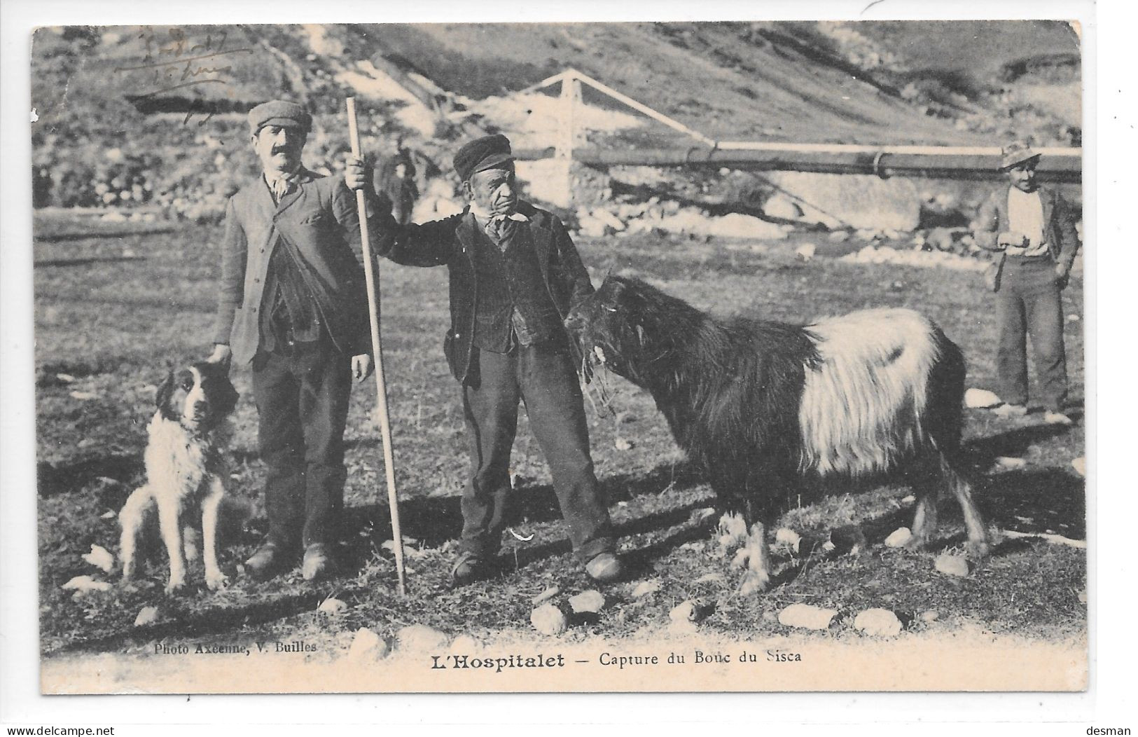 L'HOSPITALET - Capture Du Bouc Du Sisca - Sonstige & Ohne Zuordnung