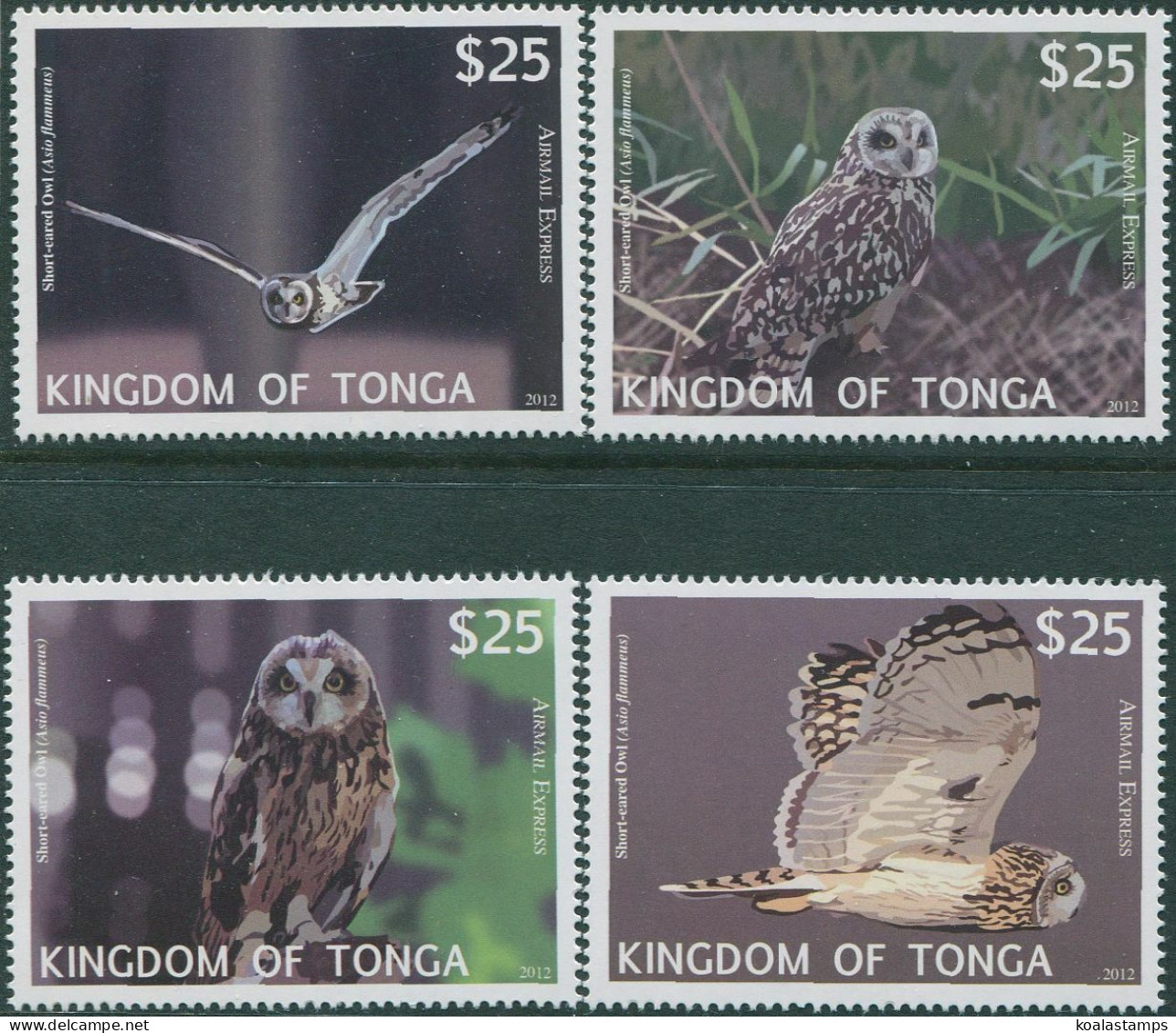 Tonga Express 2012 SGE2-E5 Barn Owl Set MNH - Tonga (1970-...)
