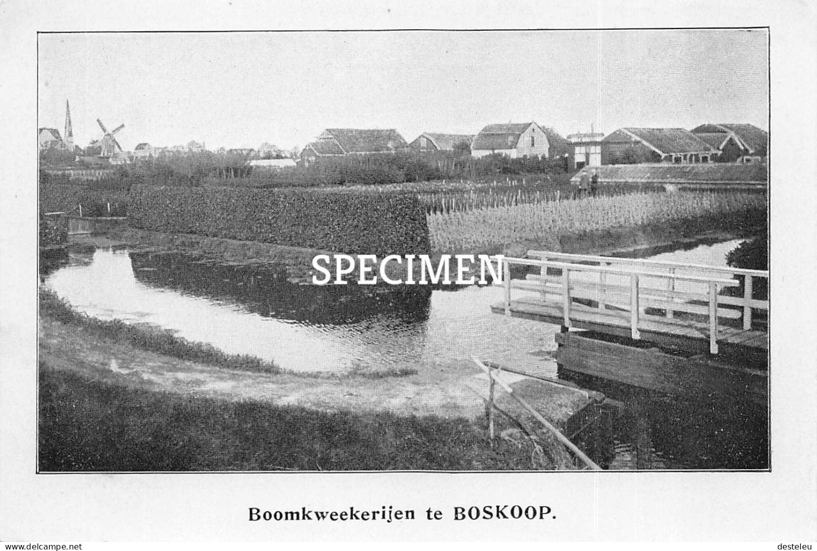 Prent - Boomkwekerijen Te Boskoop   - 8.5x12.5 Cm - Boskoop