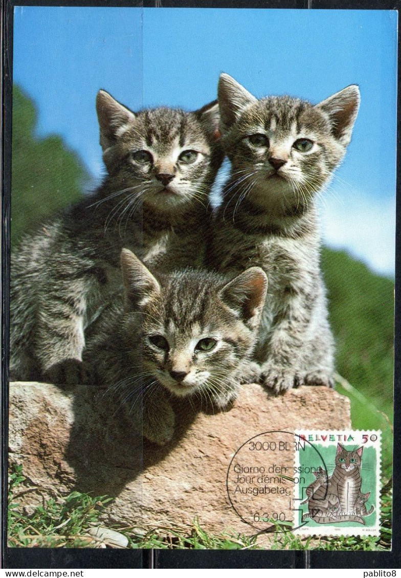 SWITZERLAND SUISSE SCHWEIZ SVIZZERA HELVETIA 1990 FAUNA ANIMALS HOUSE CATS 50c MAXI MAXIMUM CARD CARTE - Cartes-Maximum (CM)