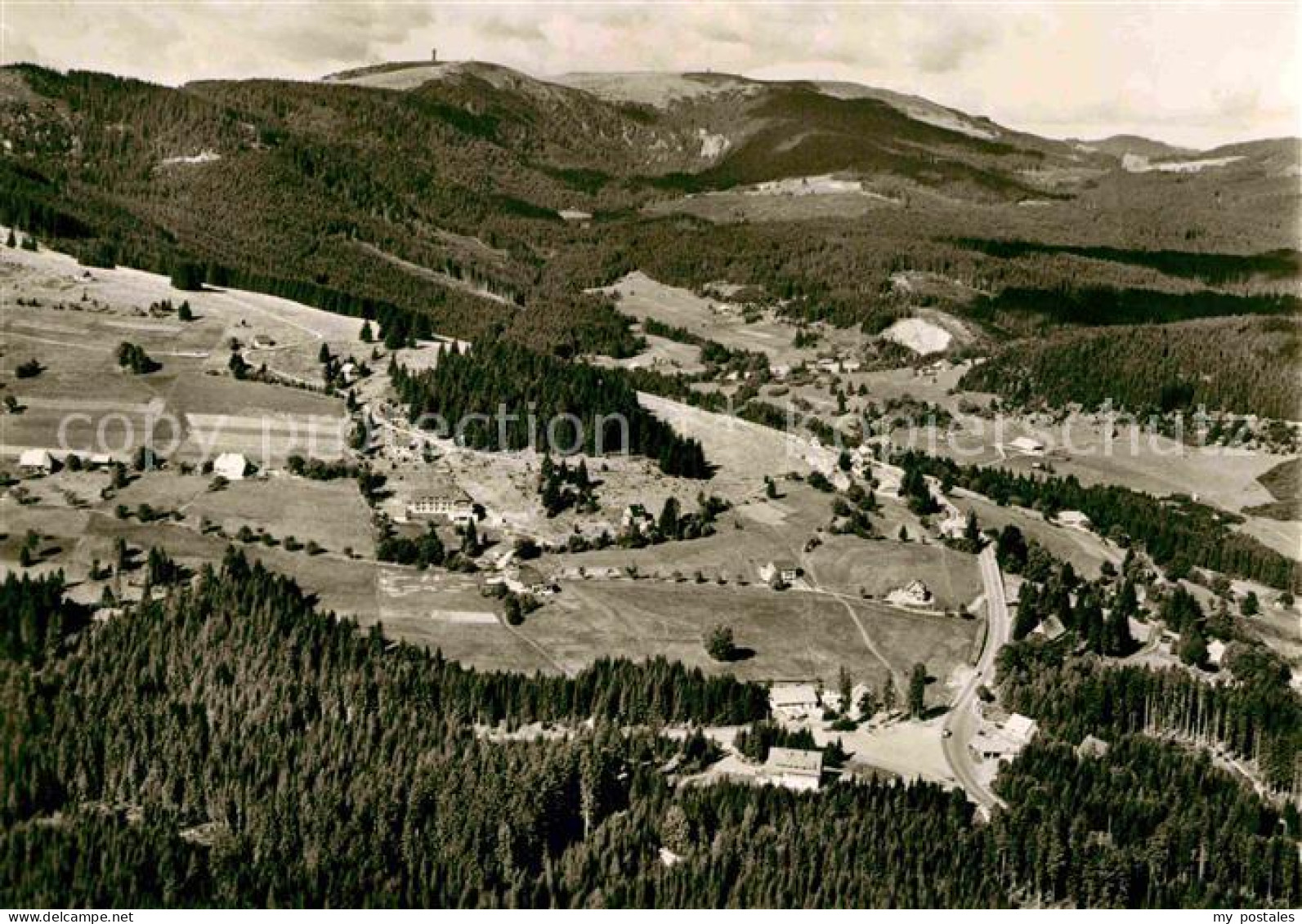 72789131 Baerental Feldberg Panorama  Feldberg (Schwarzwald) - Feldberg