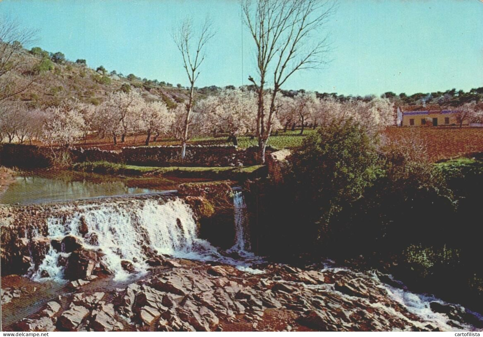 Algarve - Um Trecho Do Campo  (2 Scans) - Faro