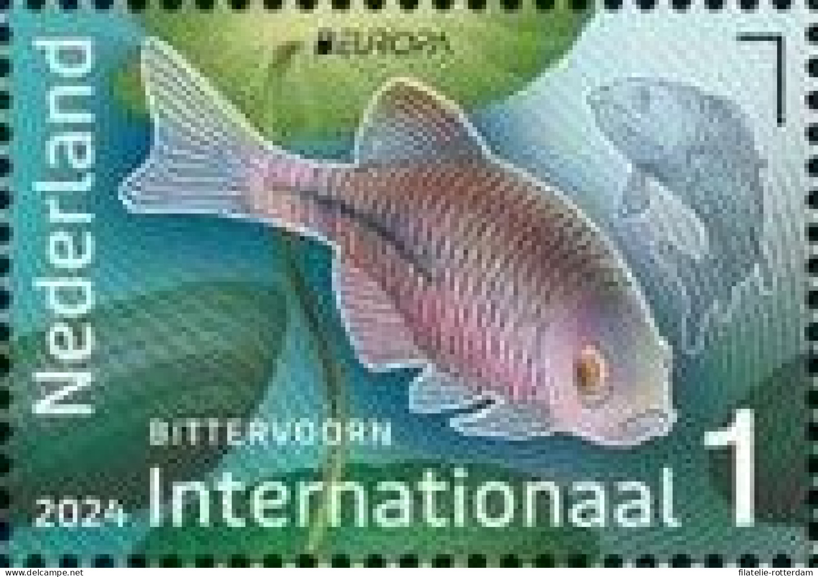 The Netherlands / Nederland - Postfris / MNH - Europa, Underwater World 2024 - Nuevos