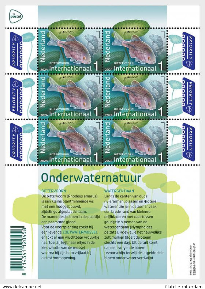 The Netherlands / Nederland - Postfris / MNH - Sheet Europa, Underwater World 2024 - Unused Stamps