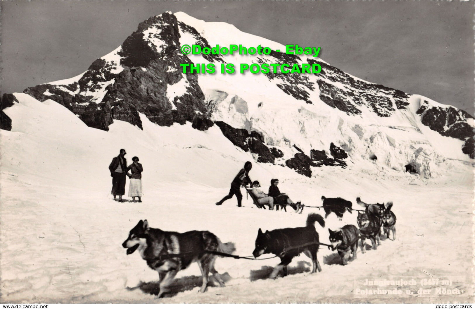 R358775 Jungfraujoch. Polarhunde U. Der Monch. Photoglob. Wehrli A. G. W 10917 - World