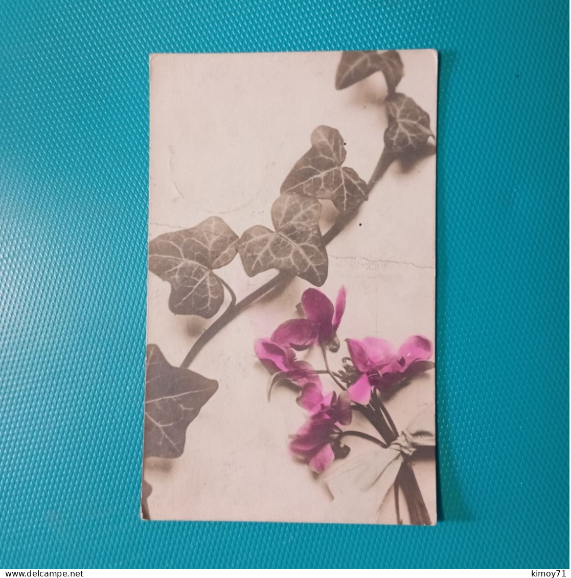 Cartolina Fiori Con Edera. Viaggiata 1919 - Flowers