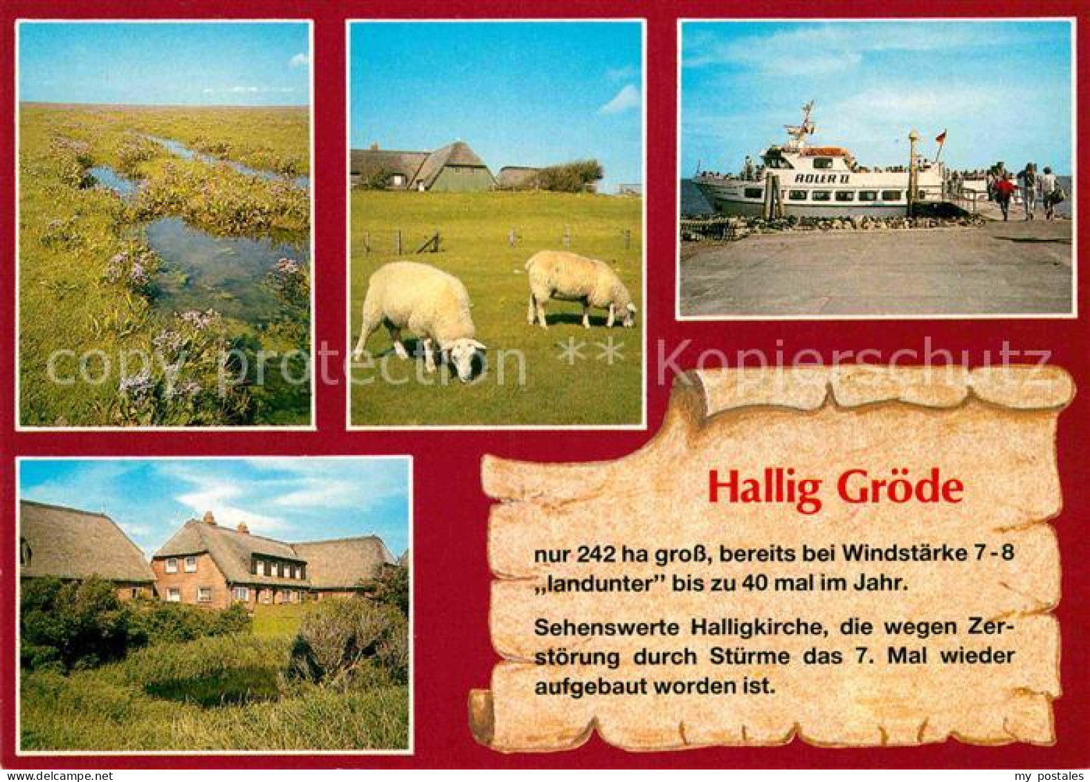72787969 Hallig Groede Landschaftspanorama Schafe Bootsanleger Faehre Hallig Gro - Andere & Zonder Classificatie