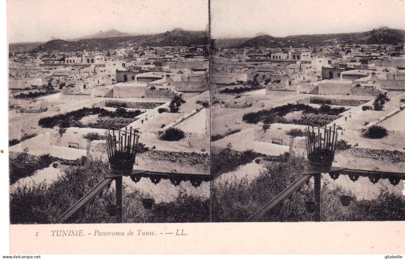 Tunisie - Panorama De TUNIS - Carte Stereoscopique - Tunesien