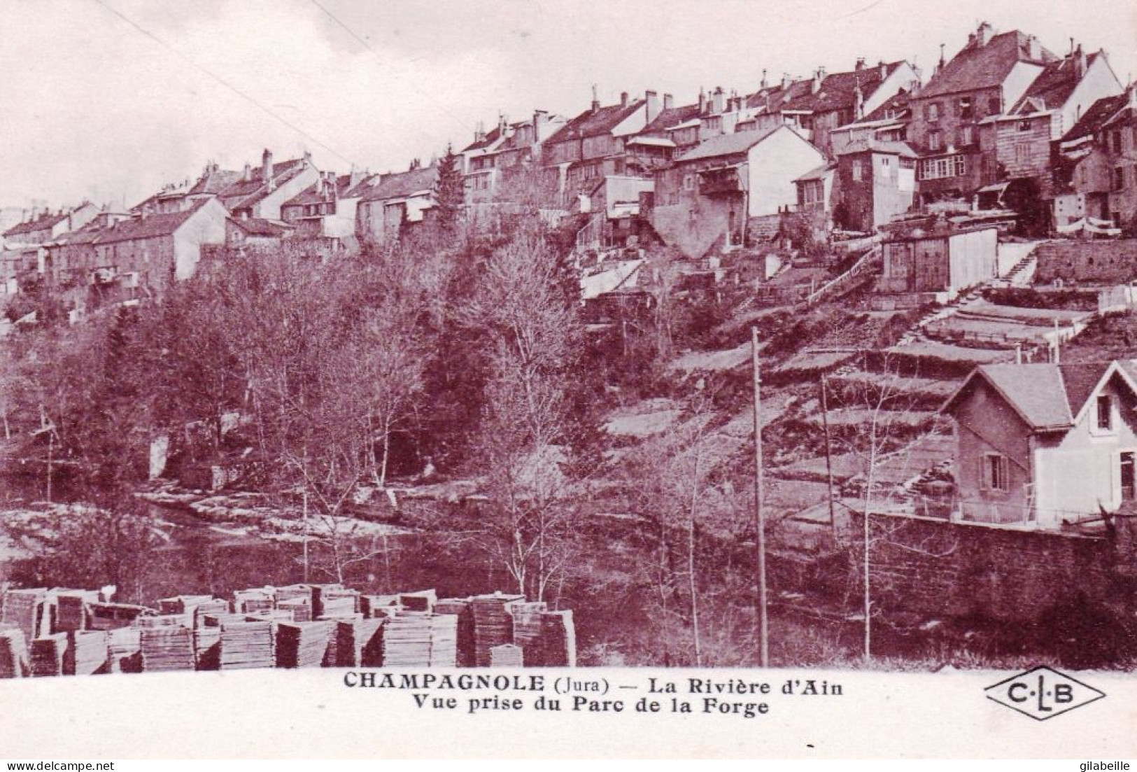 39 - Jura - CHAMPAGNOLE - La Riviere D Ain - Vue Prise Du Parc De La Forge - Champagnole