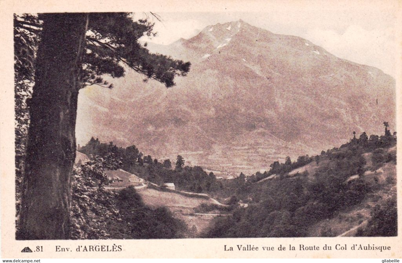 65 - Hautes Pyrenees - Environs D  ARGELES - GAZOST- La Vallée Vue De La Route Du Col De L Aubisque - Argeles Gazost