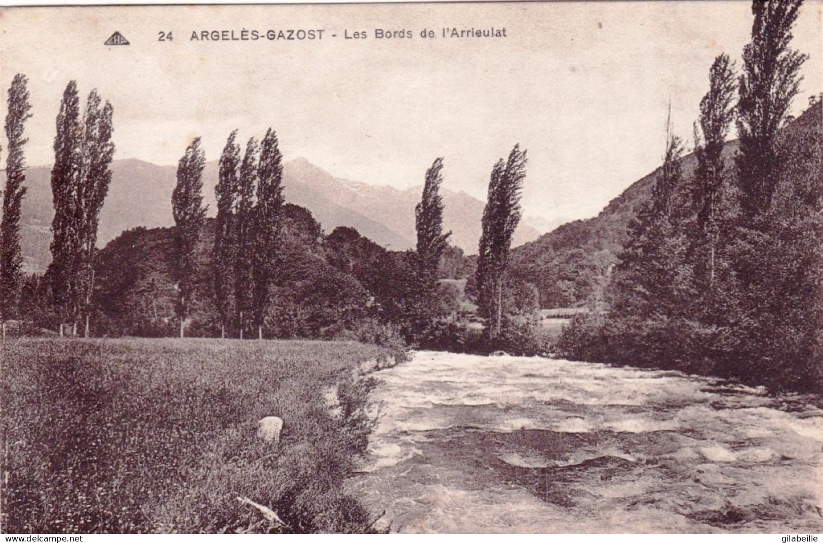 65 - Hautes Pyrenees -  ARGELES - GAZOST - Les Bords De L Arrieulat - Argeles Gazost