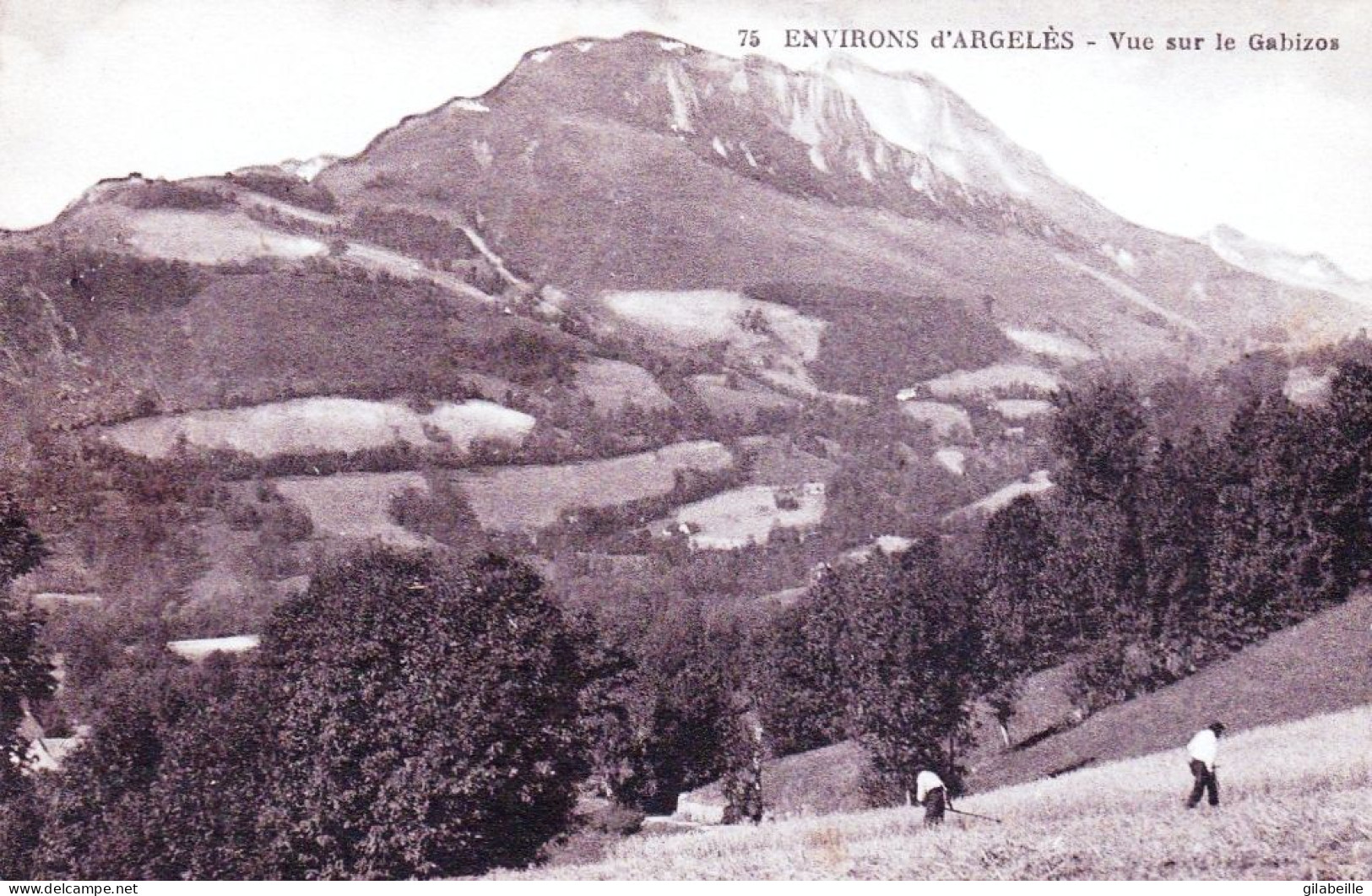 65 - Hautes Pyrenees - Environs D ARGELES - Vue Sur Le Gabizos - Argeles Gazost