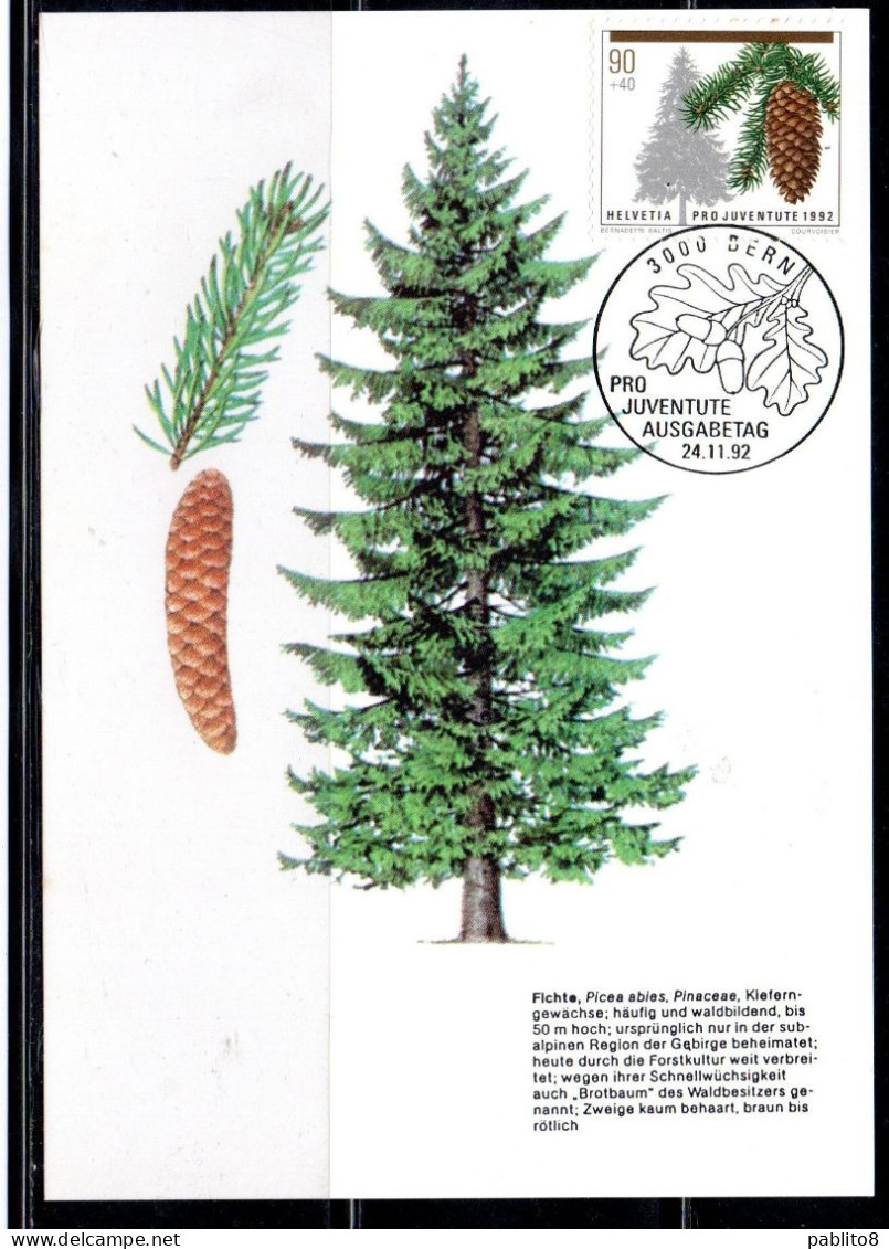 SWITZERLAND SUISSE SCHWEIZ SVIZZERA HELVETIA 1992 TREES CHRISTMAS PRO JUVENTUTE SPRUCE 90+40c MAXI MAXIMUM CARD CARTE - Maximumkaarten