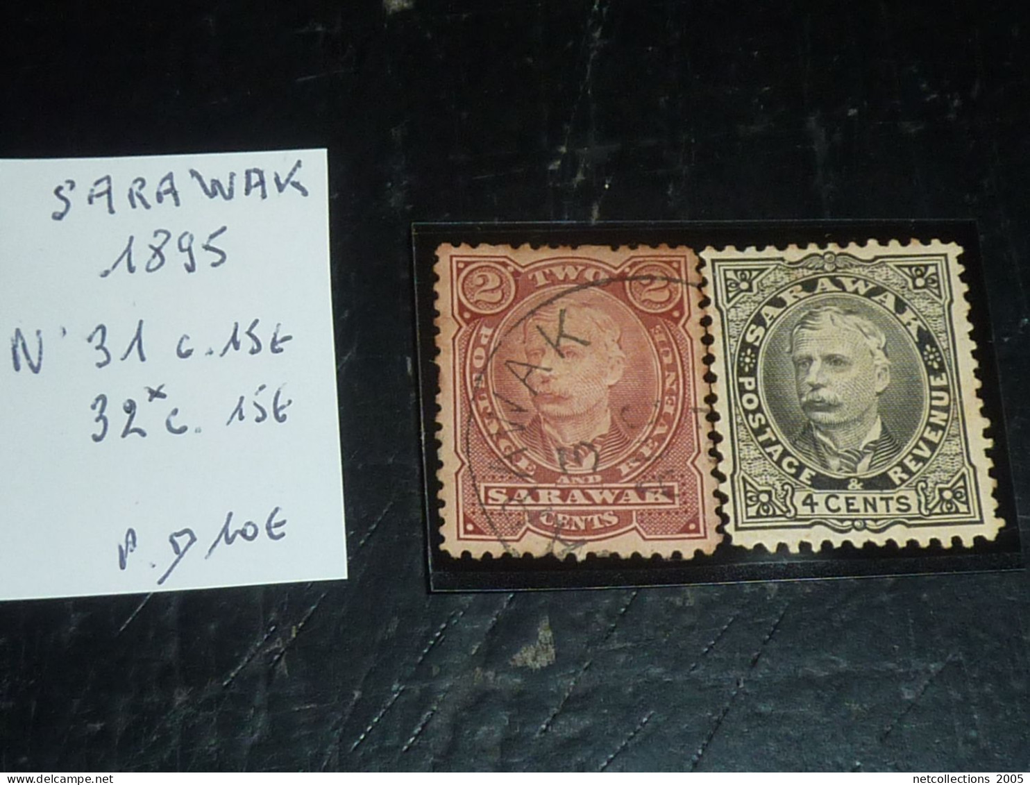 SARAWAK 1895 LA PAIRE N°31 OBLITERE N°32 NEUF AVEC CHARNIERE - Oblitéré (C.V) - Sarawak (...-1963)
