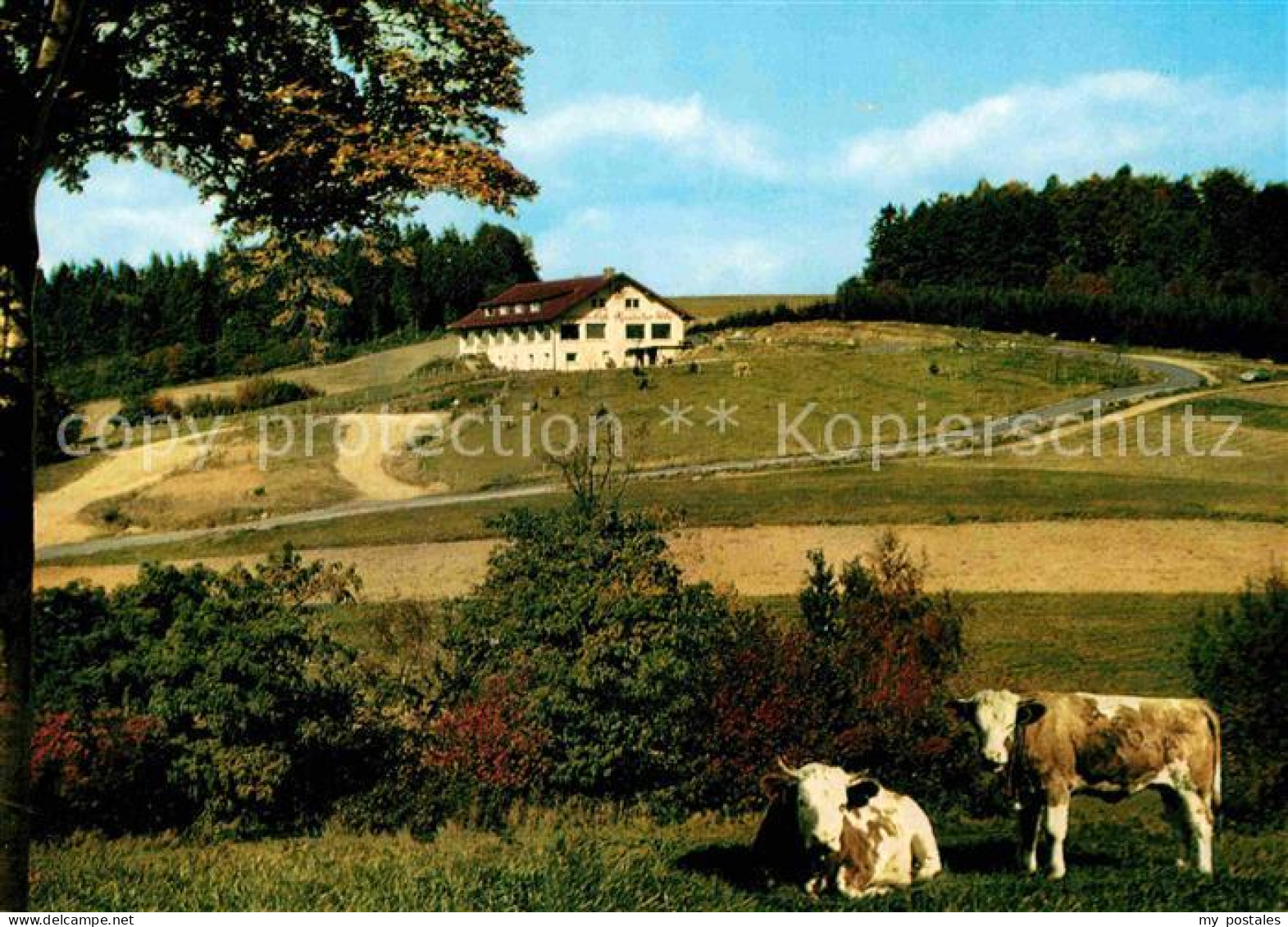 72786474 Waldmichelbach SonnenCafe Kreidacher Hoehe Wald-Michelbach - Autres & Non Classés