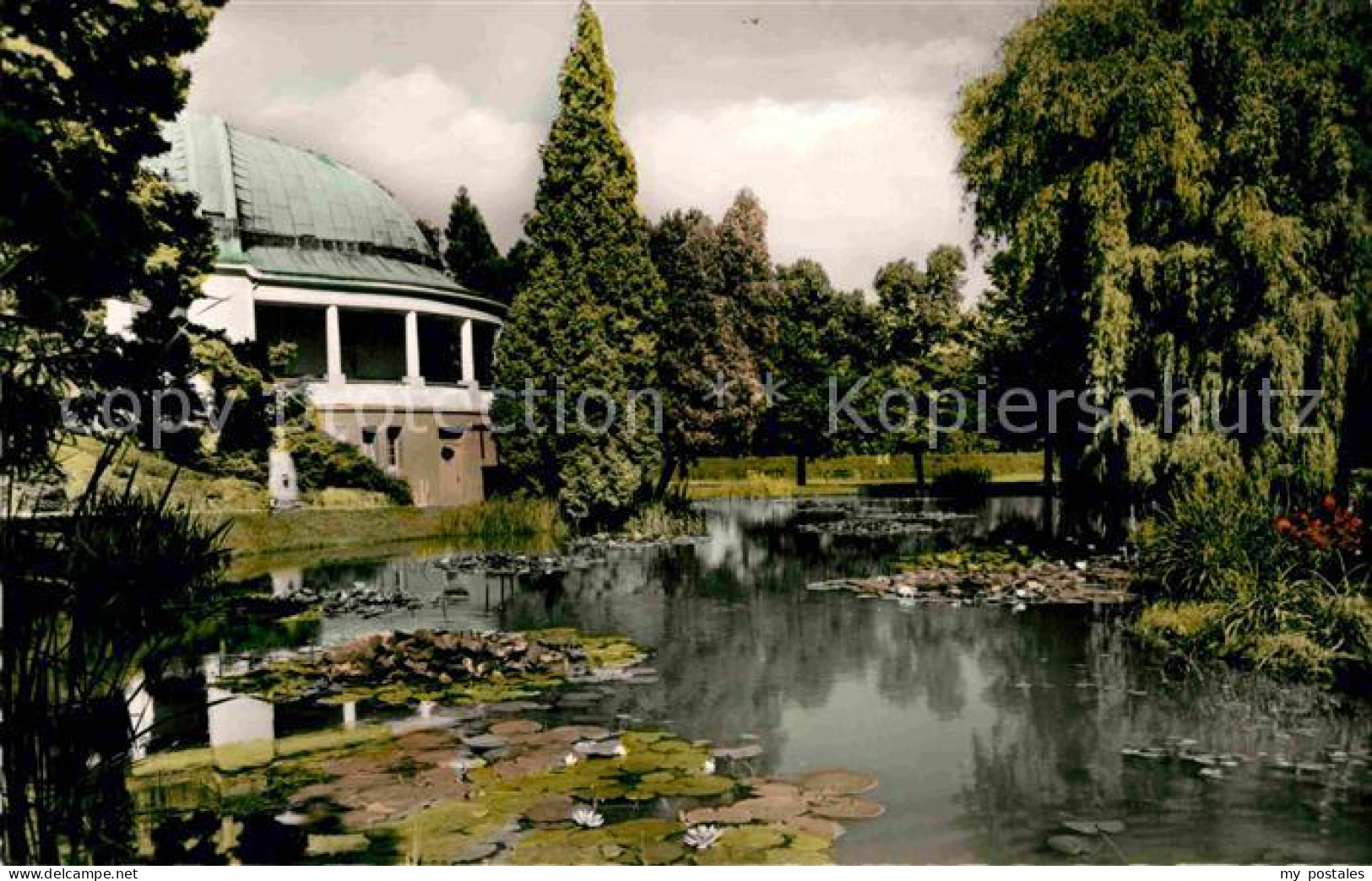 72786237 Bad Wildungen Seerosenteich Im Kurpark Albertshausen - Bad Wildungen