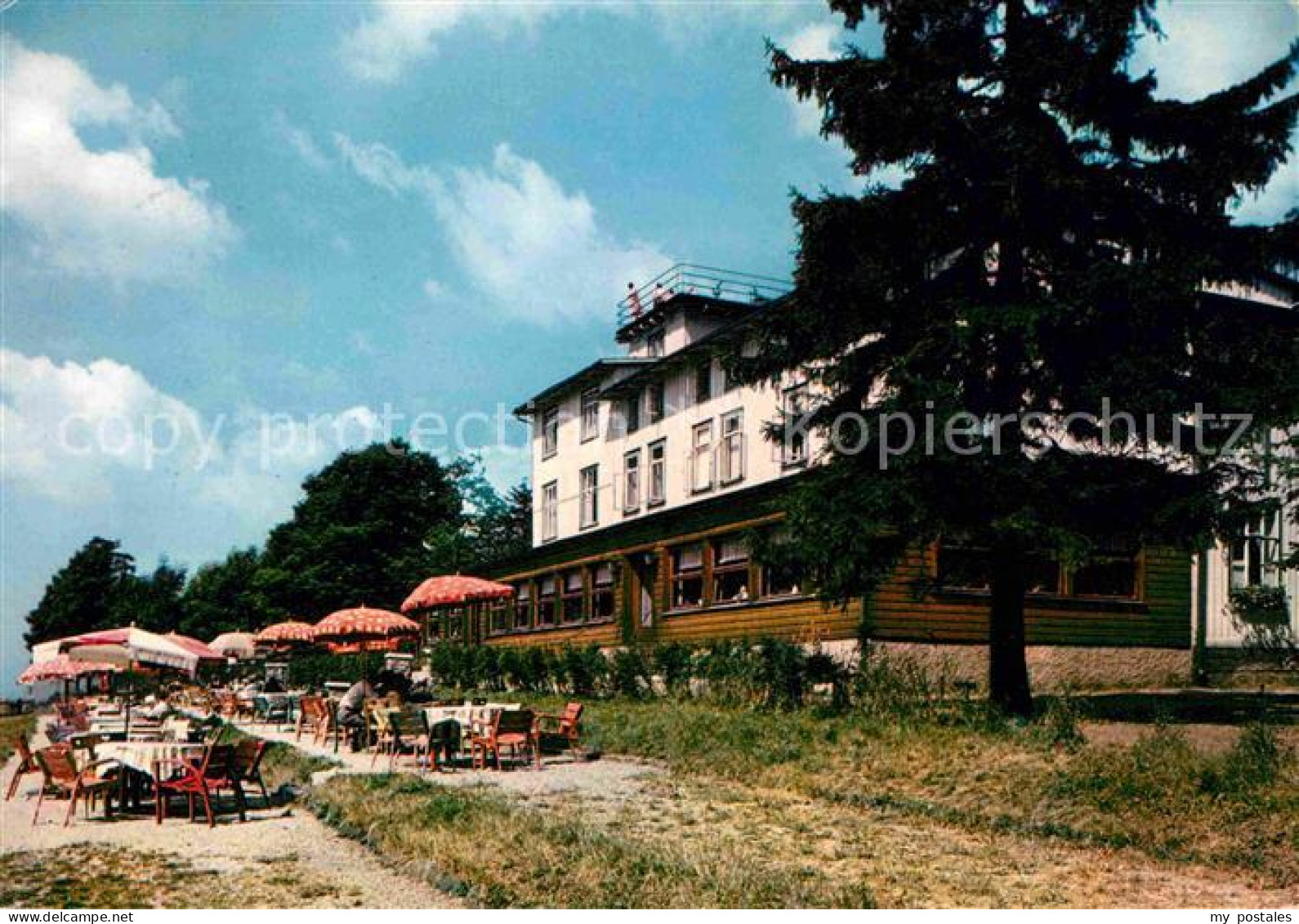 72786050 Walkenried Berghotel Stoeberhai Terrasse Walkenried - Autres & Non Classés