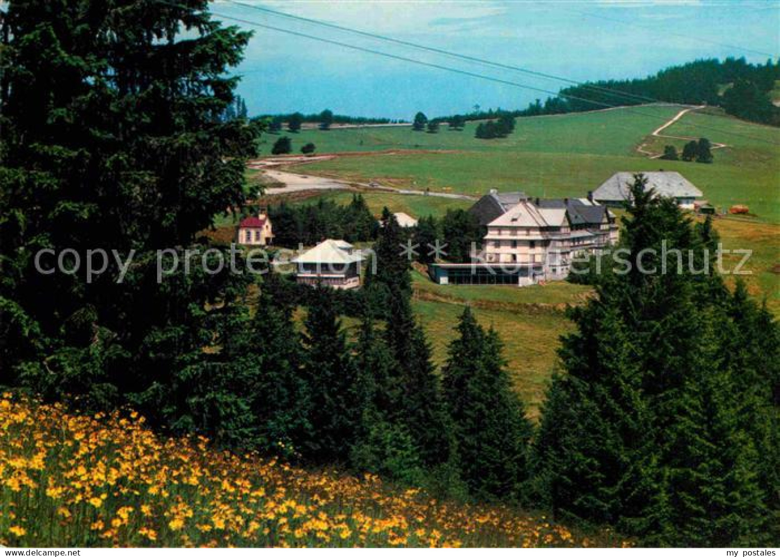 72786004 Schauinsland Halden Hotel Schwarzwald Schauinsland - Sonstige & Ohne Zuordnung