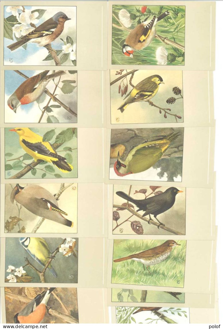 OISEAUX - Lot De 13 Cartes (125389) - Vögel