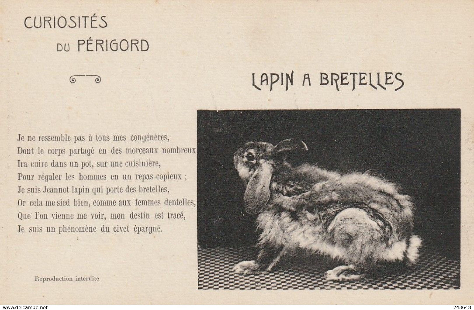 Curiosités Du Périgord Lapin à Bretelles (rare) - Andere & Zonder Classificatie