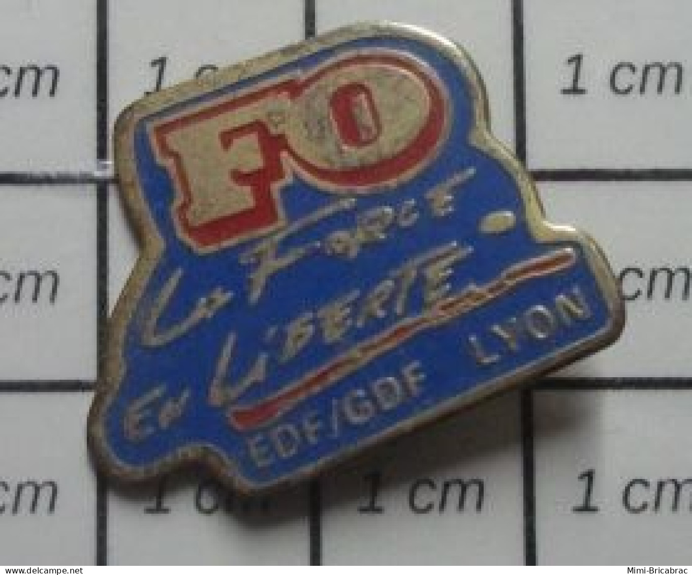 1818b Pin's Pins / Beau Et Rare : ASSOCIATIONS /  SYNDICAT FO FORCE OUVRIERE EDF GDF LYON - Associations
