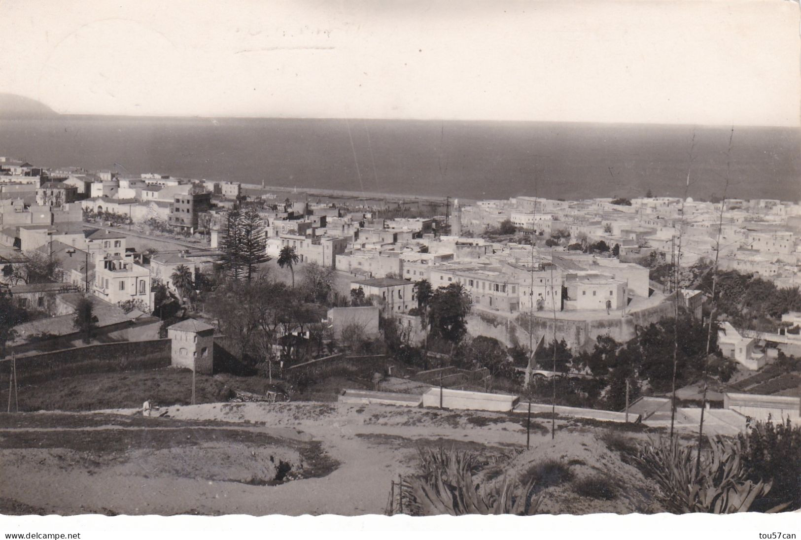 MOSTAGANEM  -  ALGERIE  -  CPSM  DENTELEE  DE  1960. - Mostaganem