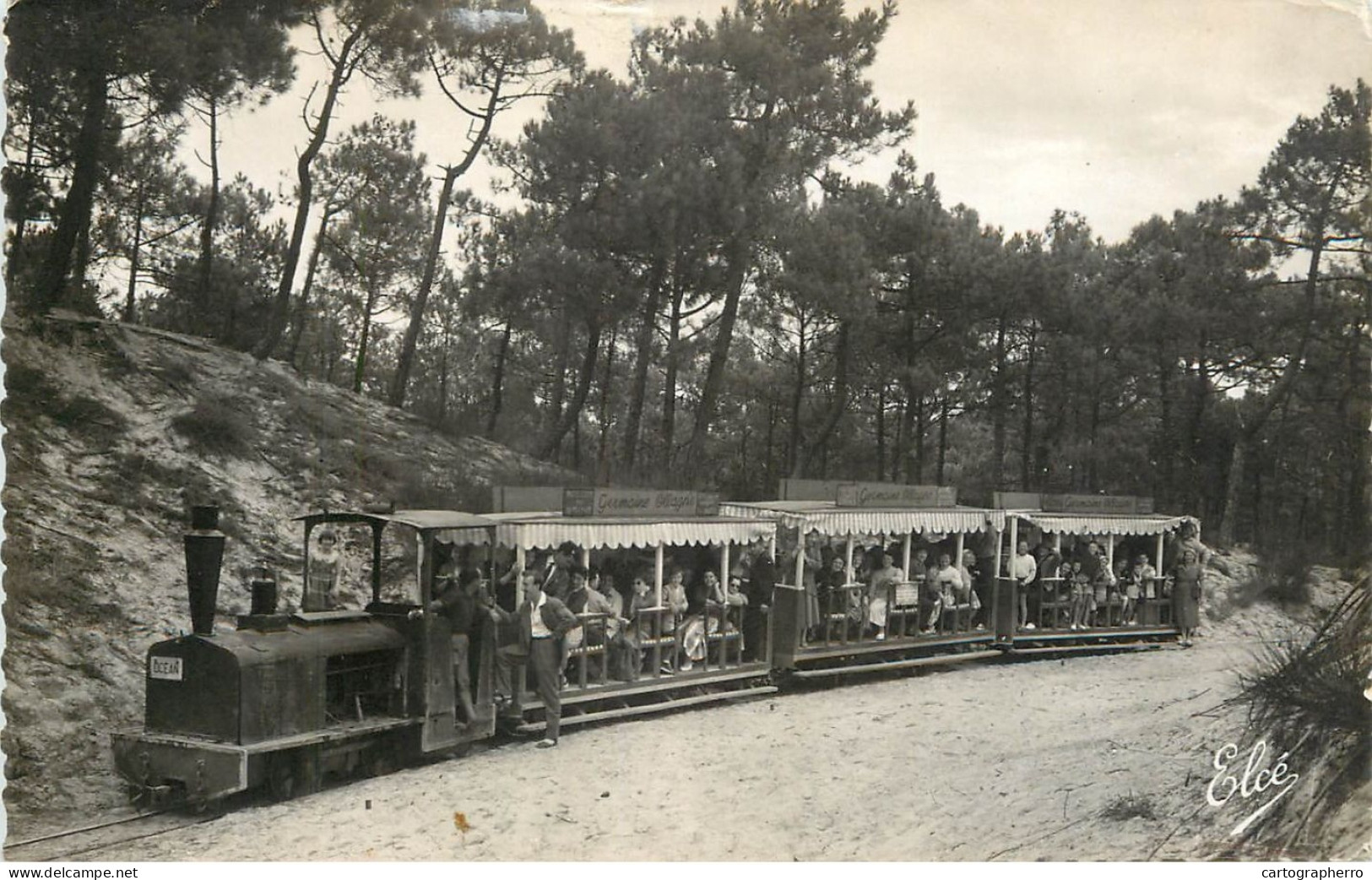 Cap Ferret Petit Train Forestier - Sonstige & Ohne Zuordnung