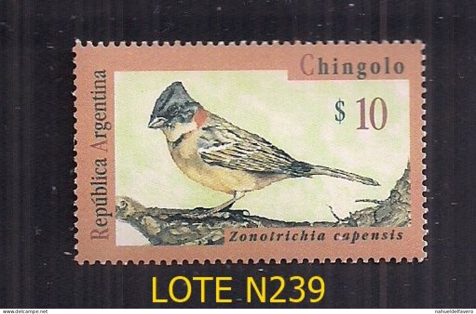 ARGENTINE 2732 1995 GJ 2732 OISEAUX CHINGOLO 10$ MENTHE - Unused Stamps