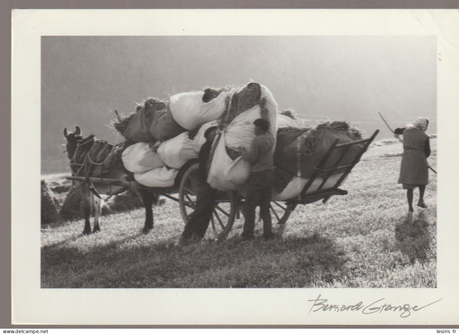 C.P. - PHOTO - BERNARD GRANGE - CHARGEMENT DES BALLES DE FOIN - Autres & Non Classés