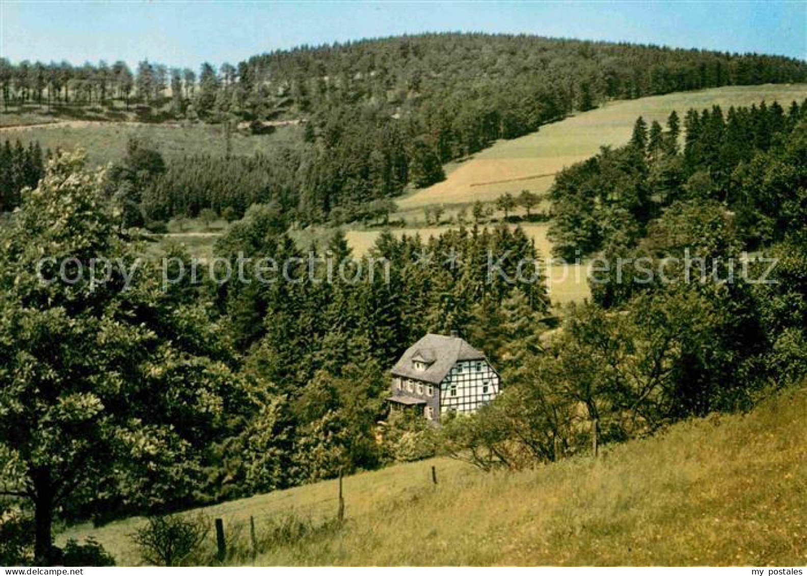 72785177 Wingeshausen Privatpension Haus Wied Landschaftspanorama Wingeshausen - Bad Berleburg