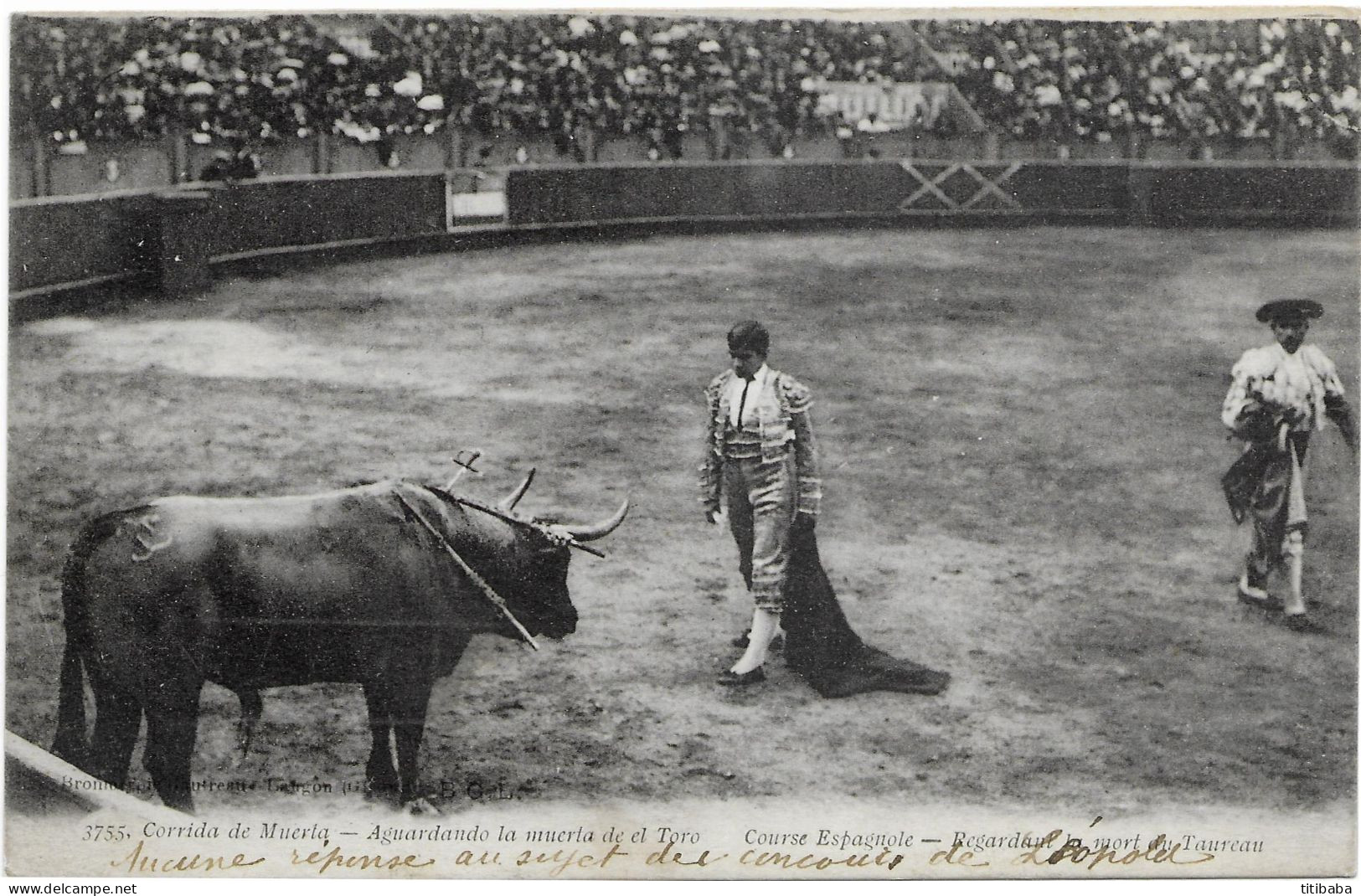 Corrida De Murcia Course Espagnole Regardant La Mort Du Taureau - Murcia