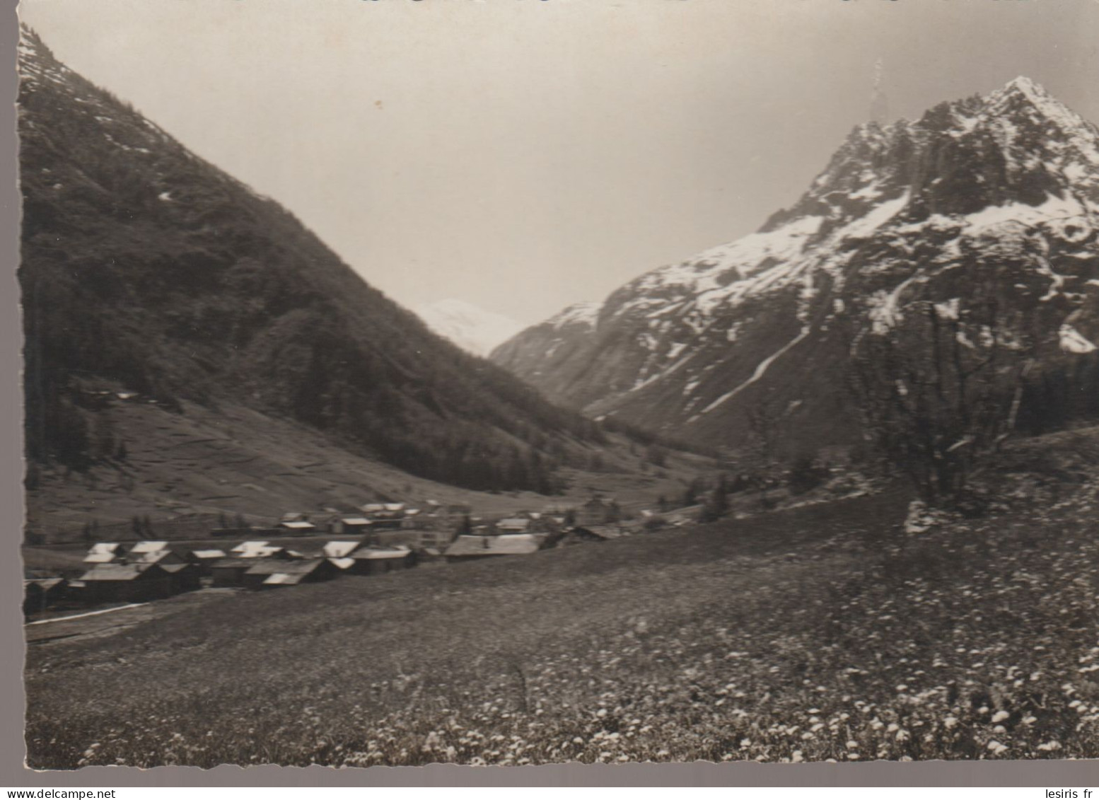 C.P. - PHOTO - VALLORCINE LE MONT BLANC ET LES AIGUILLES ROUGES - 27 - F. MONNIER - Altri & Non Classificati