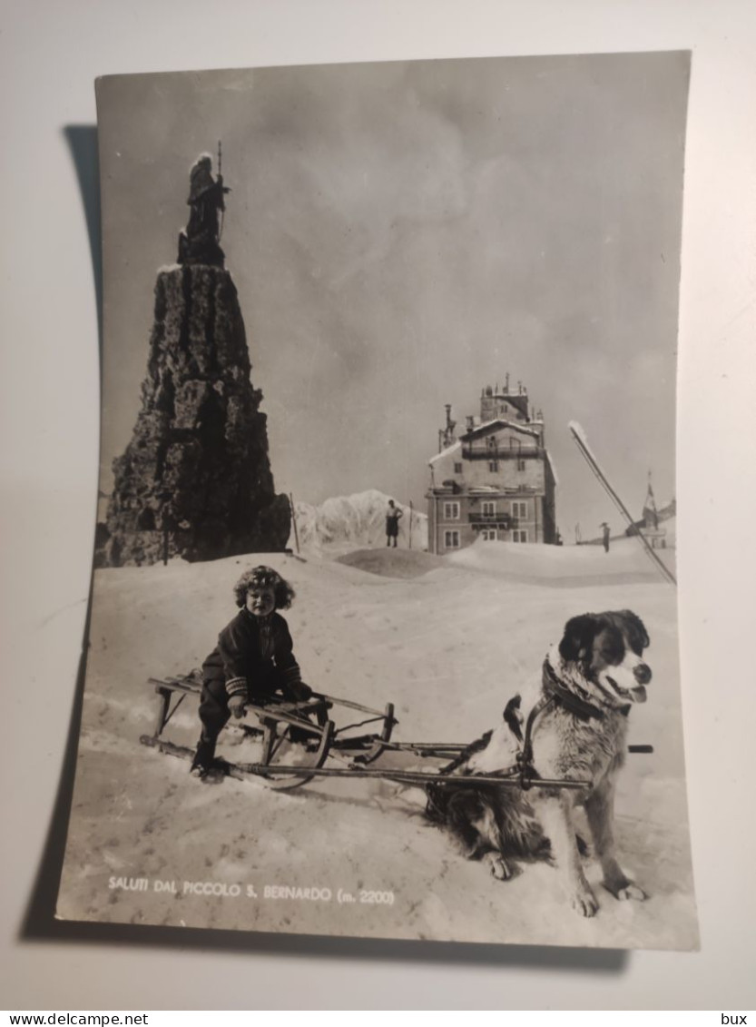 SALUTI DAL PICCOLO S. BERNARDO  LA THUILLE CANE DOG KIND BIMBAAOSTA   VIAGGIATA COME DA FOTO - Aosta