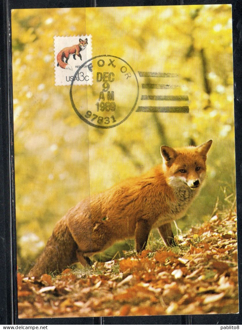 USA STATI UNITI 1978 WILD LIFE ANIMALS RED FOX 13c MAXI MAXIMUM CARD CARTE CARTOLINA - Maximum Cards