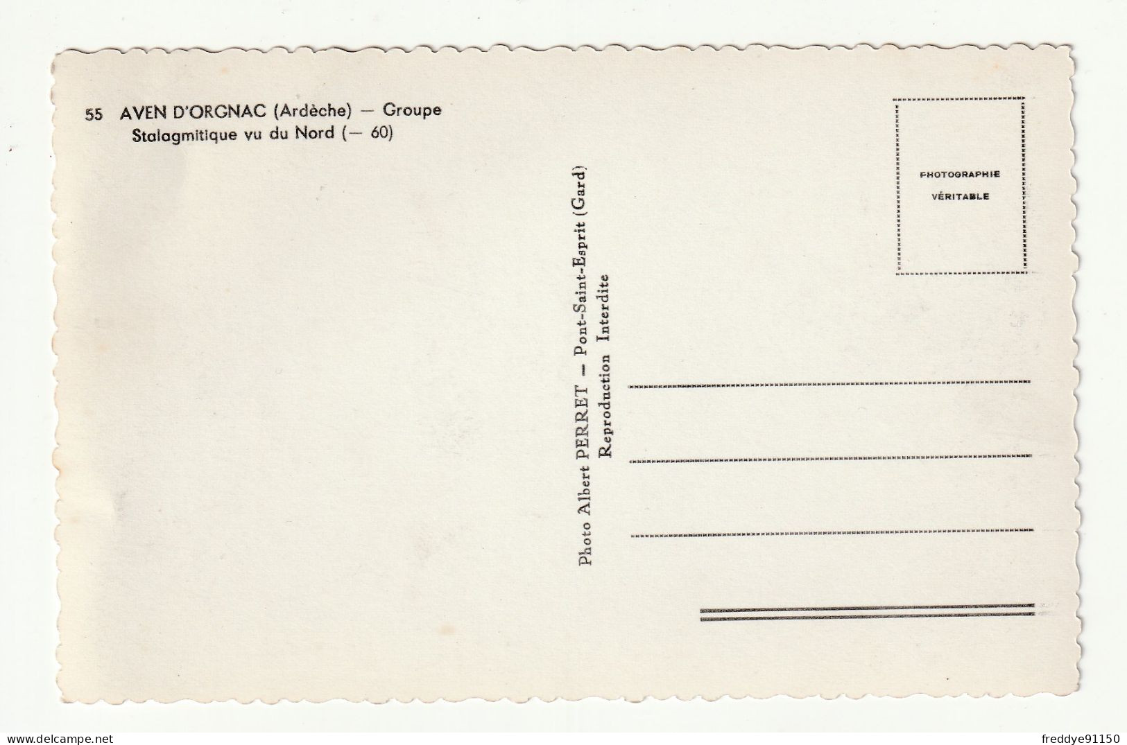 07 . Orgnac L'aven . Grottes  Aven D'Orgnac . Groupe Stalagmitique Vu Du Nord - Other & Unclassified