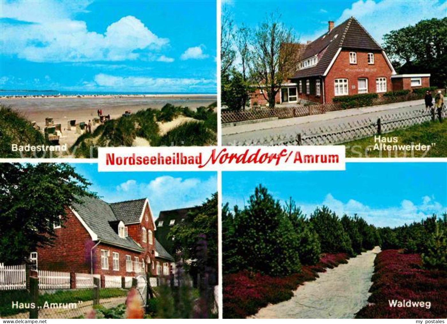 72784602 Amrum Strand Haus-Altenwerder Waldweg Haus-Amrum Nebel - Autres & Non Classés