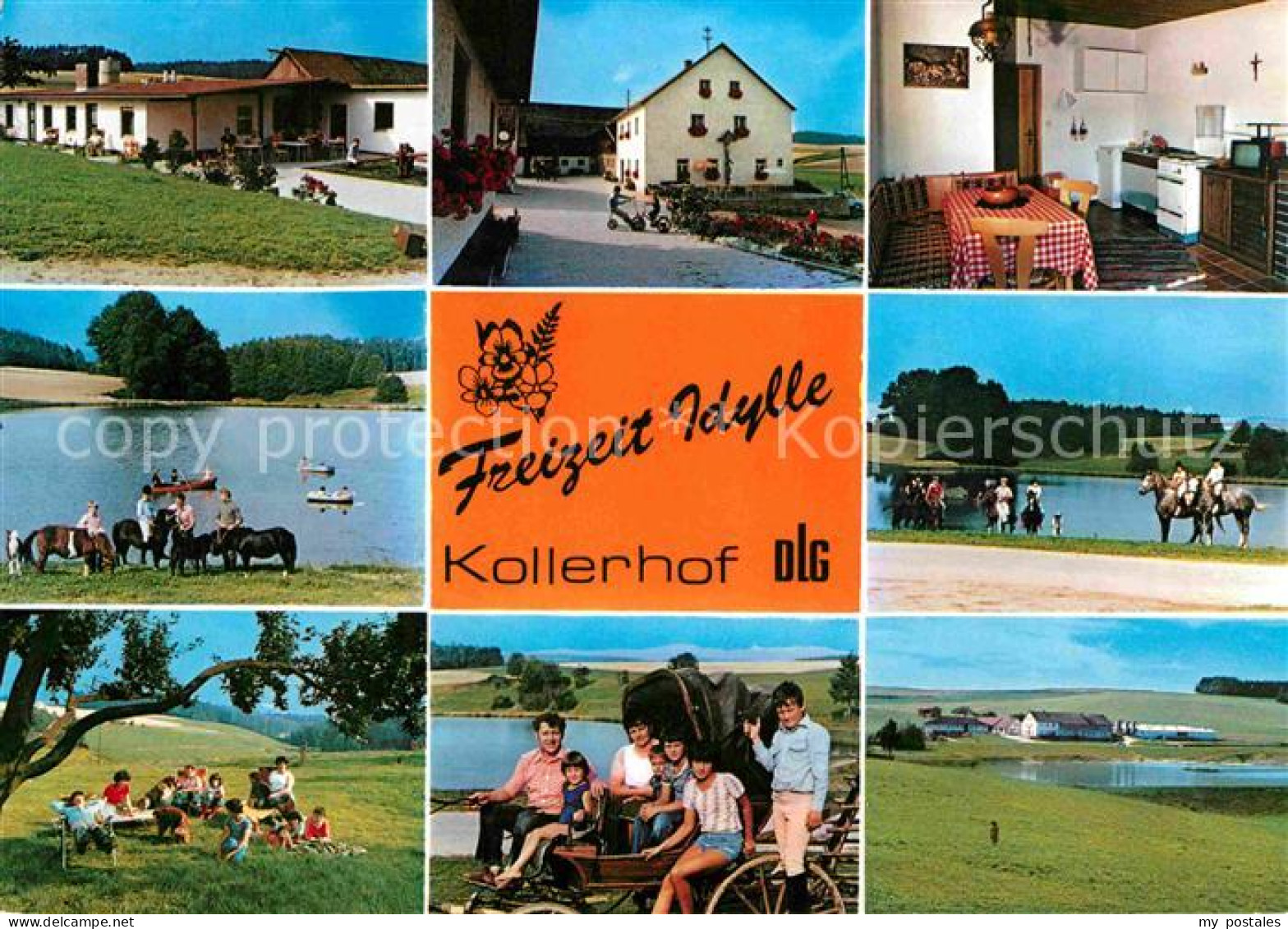 72784596 Neunburg Wald Freizeit Idylle Kollerhof  Neunburg Wald - Autres & Non Classés