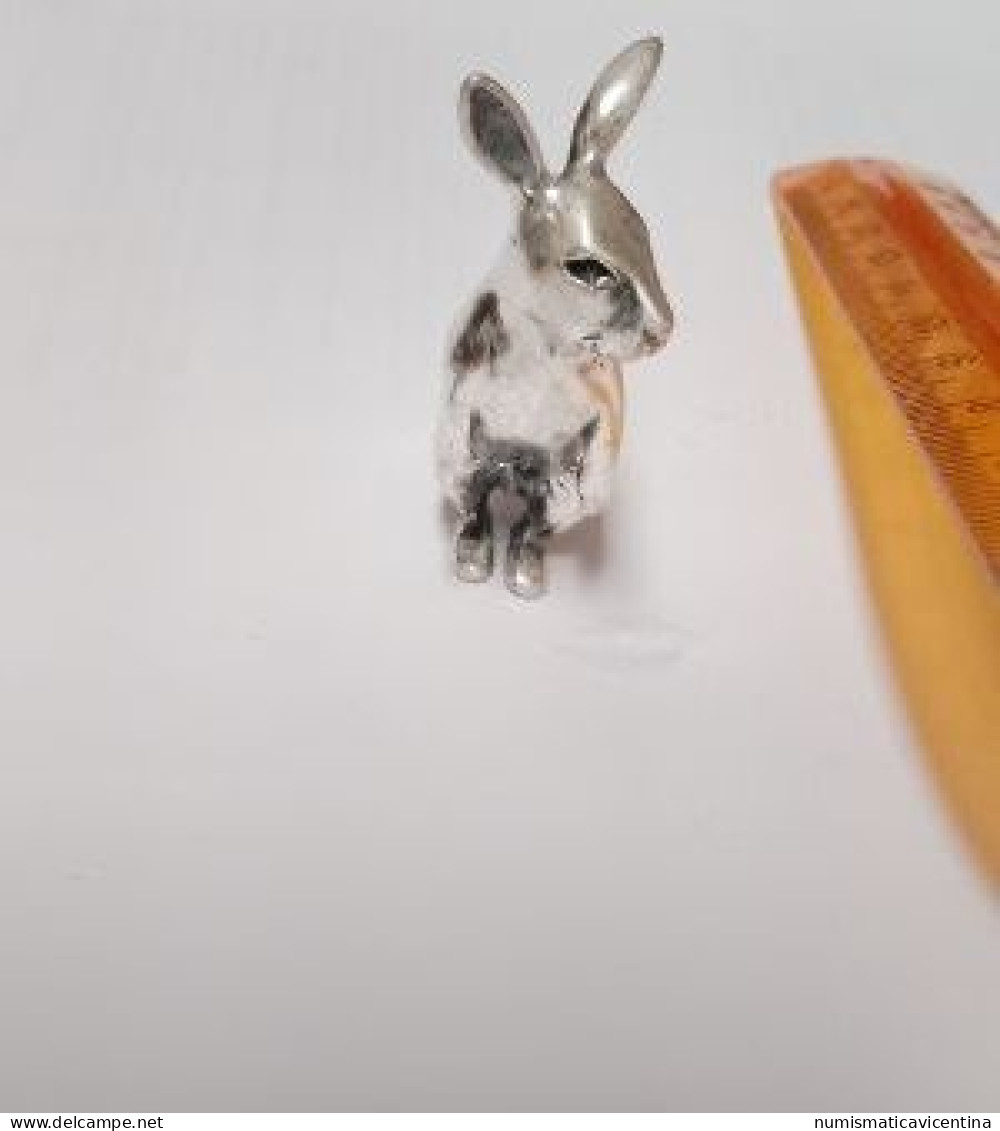 Bijoux Lapin En Argent 0,925% Coniglio In Argento Rabbit Conejo Kaninchen Bijoux - Andere & Zonder Classificatie