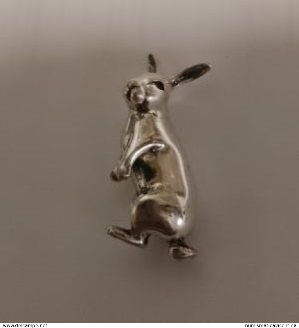 Bijoux Lapin En Argent 0,925% Coniglio In Argento Rabbit Conejo Kaninchen Bijoux - Sonstige & Ohne Zuordnung