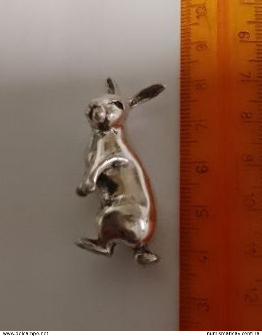 Bijoux Lapin En Argent 0,925% Coniglio In Argento Rabbit Conejo Kaninchen Bijoux - Sonstige & Ohne Zuordnung