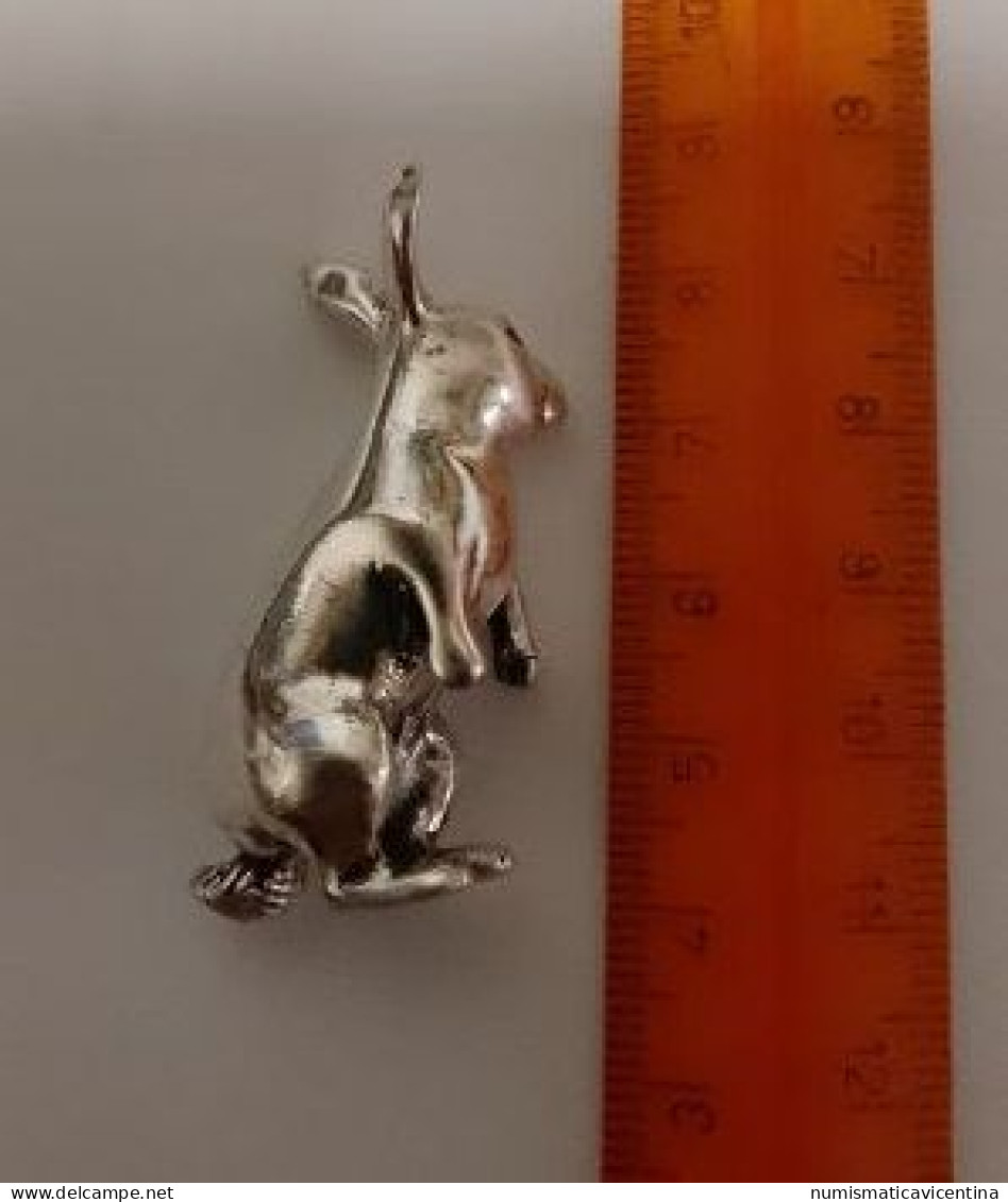 Bijoux Lapin En Argent 0,925% Coniglio In Argento Rabbit Conejo Kaninchen Bijoux - Autres & Non Classés