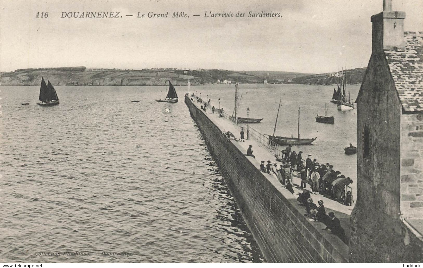 DOUARNENEZ : LE GRAND MOLE - ARRIVEE DES SARDINIERS - Douarnenez