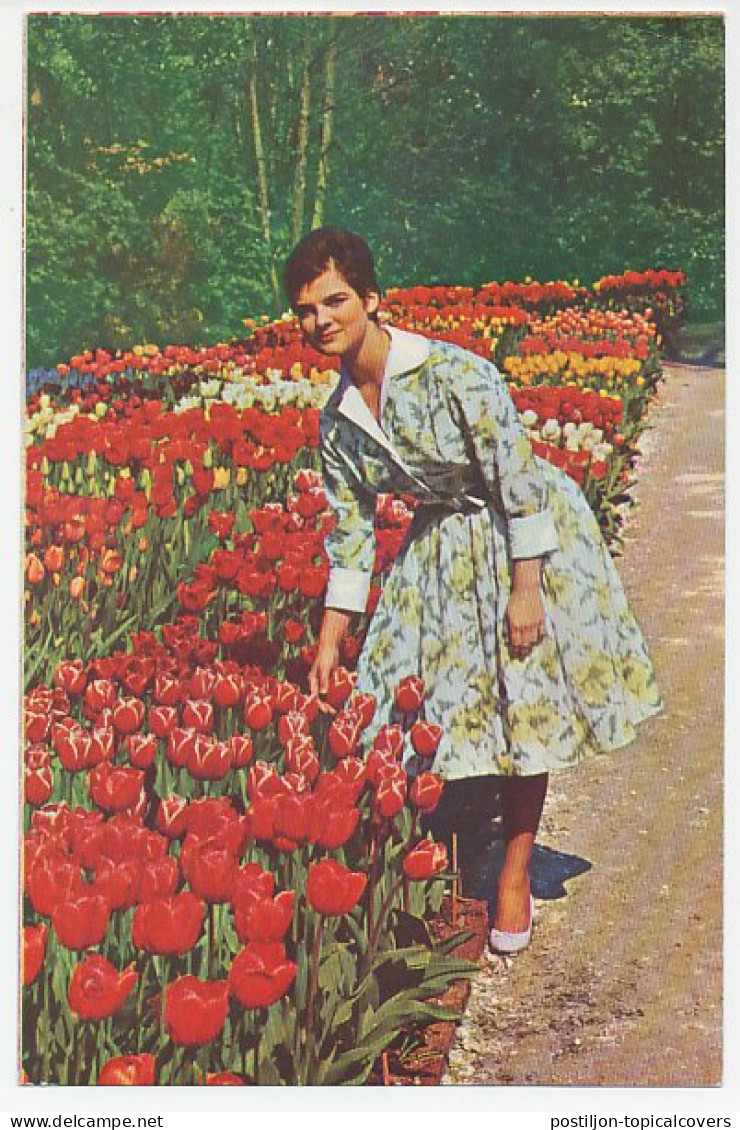 Firma Briefkaart Hillegom 1963 - Bloembollenkwekerij - Zonder Classificatie