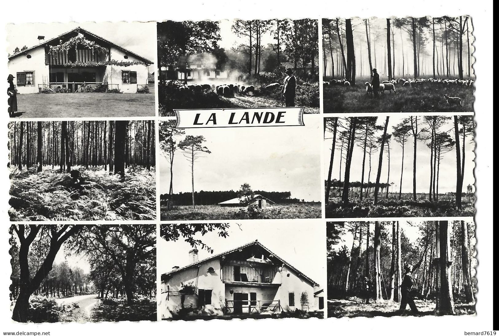 40 La Lande  De G A D  - Berger Landais - Andere & Zonder Classificatie