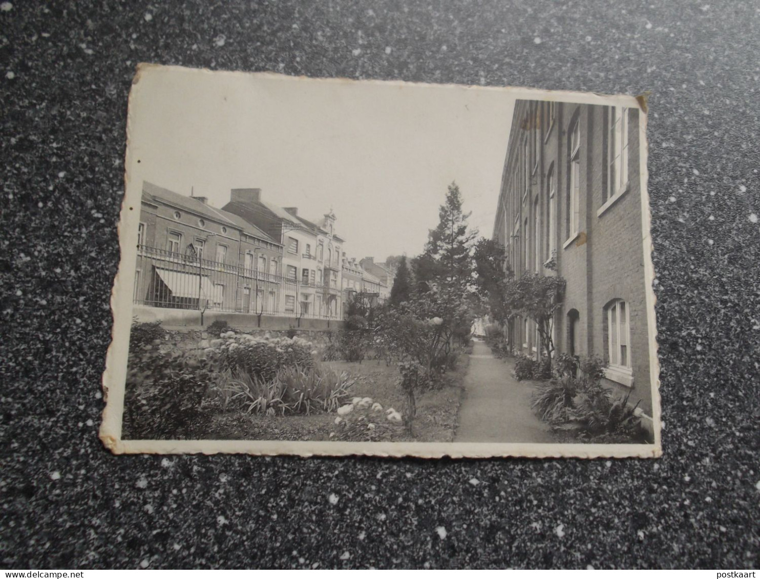 DOLHAIN - LIMBOURG: Collège St. Joseph - Le Jardin Devant Le Collège - Limburg