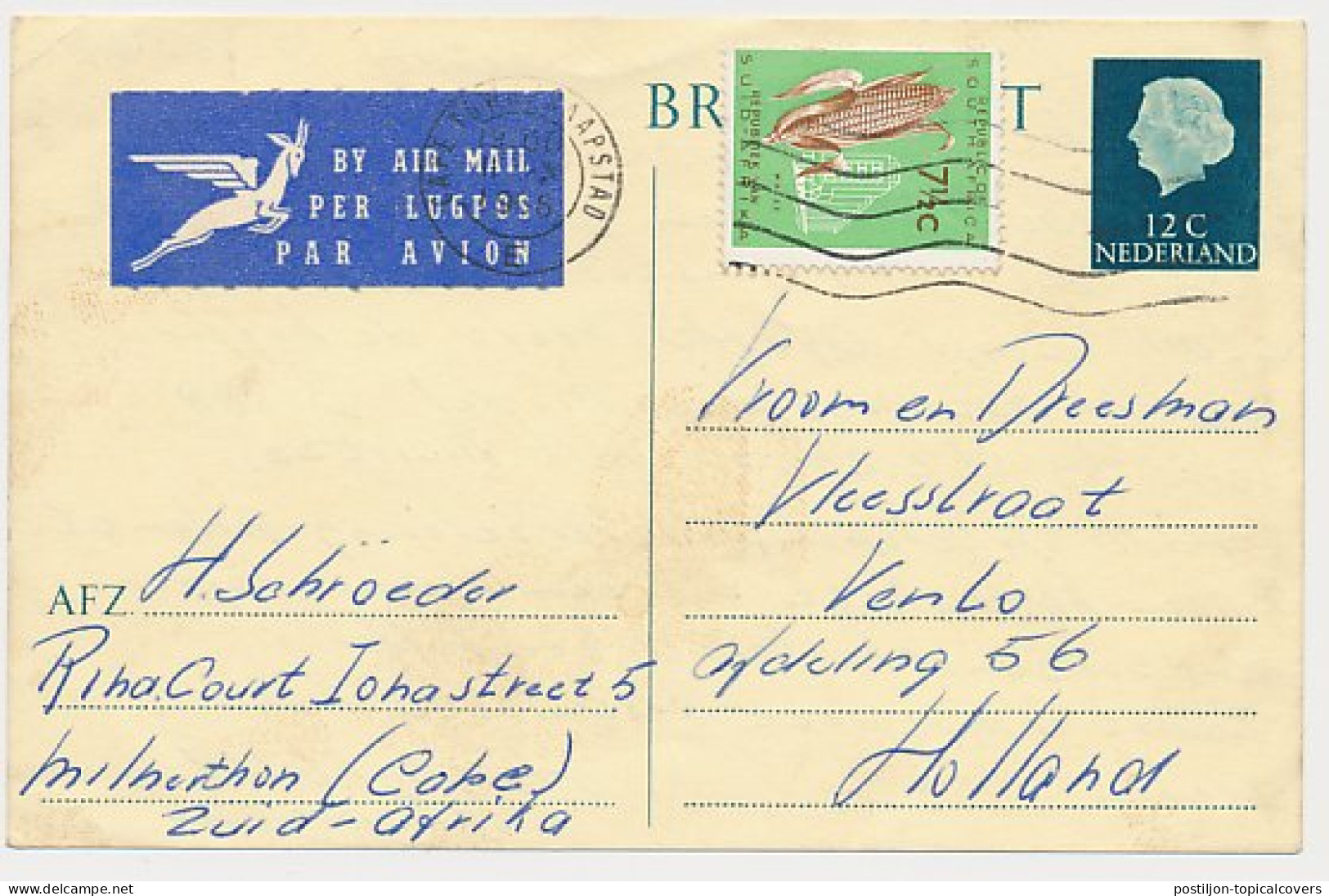 Briefkaart G. 336 / Bijfrankering Zuid Afrika - Venlo 1966 - Entiers Postaux