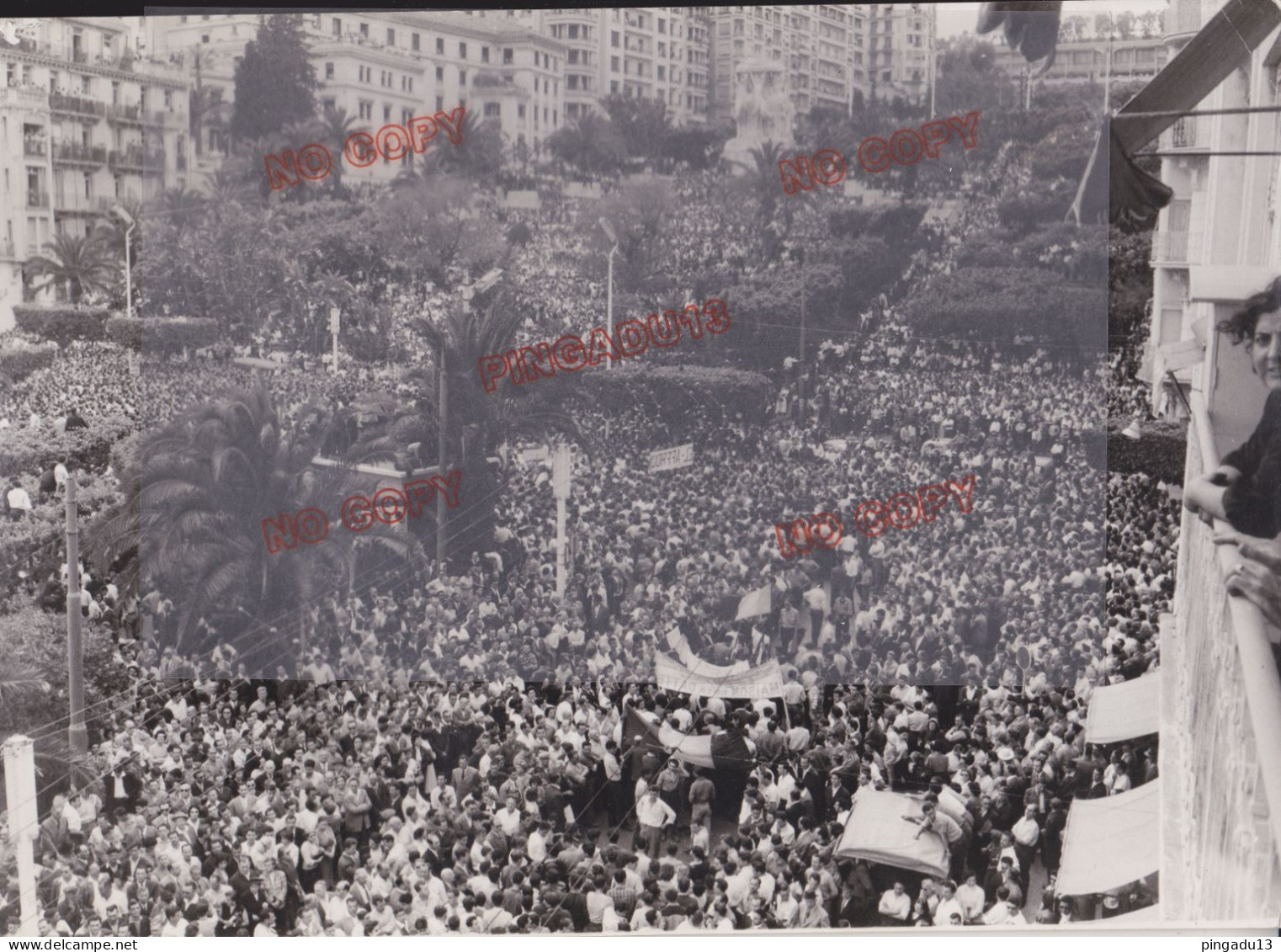 Fixe Guerre D'Algérie 1954-1962 Beau Format Argentique Manifestation Alger - War, Military