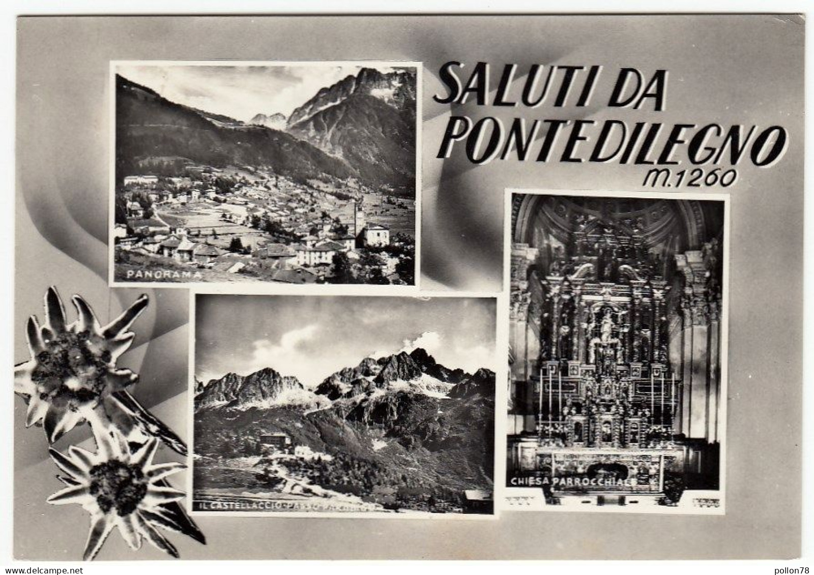 SALUTI DA PONTEDILEGNO - PONTE DI LEGNO - BRESCIA - 1957 - VEDUTE - Brescia