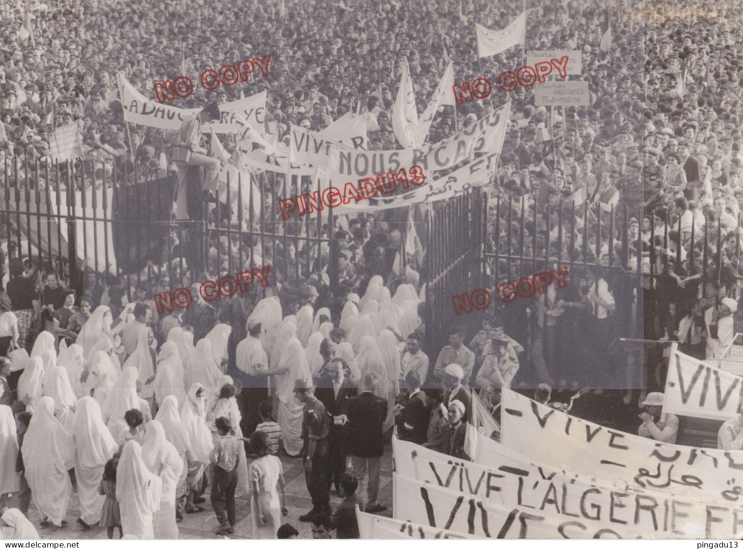 Fixe Guerre D'Algérie 1954-1962 Beau Format Argentique Manifestation Alger - War, Military